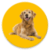 Dog Sounds Barking Howling Growling