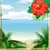 Tropical Beach Photo Collage