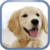 Jigsaw Puzzle Dogs
