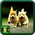 Dog Pics