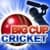 Big Cup Cricket