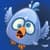 oiseaux Buzzz