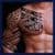 Saktie Tattoo Camera