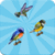 Small Birds Memory Game Free