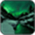 Aurora over Image