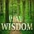 WISDOM QUOTES FEATURES