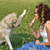 Dog Care Duty