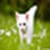 All photo  wallpapaper