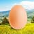 Egg 2
