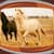 Top Horses Live Wallpapers