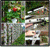 Garden Plant Ideas