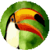 Tips for Bird Watching