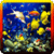 Aquarium Fish