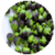 Benefits of Capers