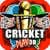 Cricket Play 3D - Live The Game