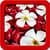 Beautiful Flowers Live Wallpapers