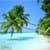 Hawaii Wallpaper HD