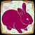 Rabbit Photo Crop