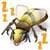 Bee Sound