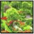 Most Amazing Botanical Gardens