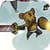 Bear Barians