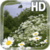 Chamomile Field Live Wallpaper