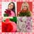 Beautiful Roses Photo Collage