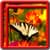 Best Butterfly Live Wallpapers