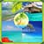Best Tropical Photo Collage