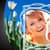 New Tulips Photo Frames