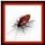Bug Smash Squash the Insect