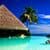 Summer Paradise Live Wallpapers