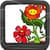 Flower Coloring Book
