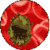 Cure for HIV