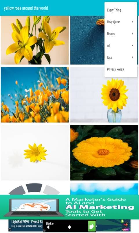 987185_2.jpg