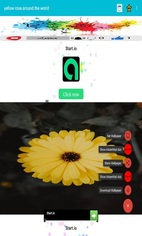 987185_5.jpg