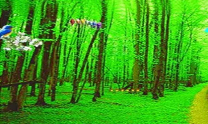 929266_4.jpg