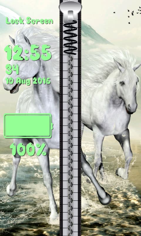 903599_6.jpg