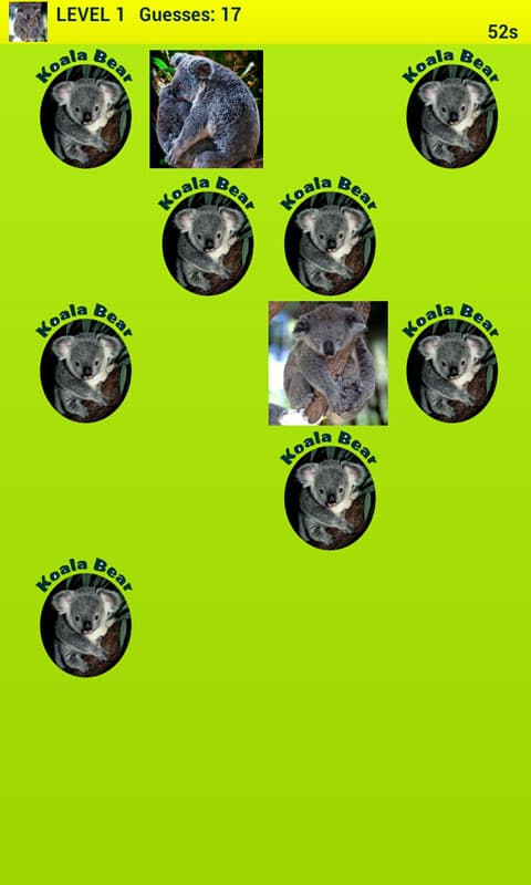 547090_6.jpg