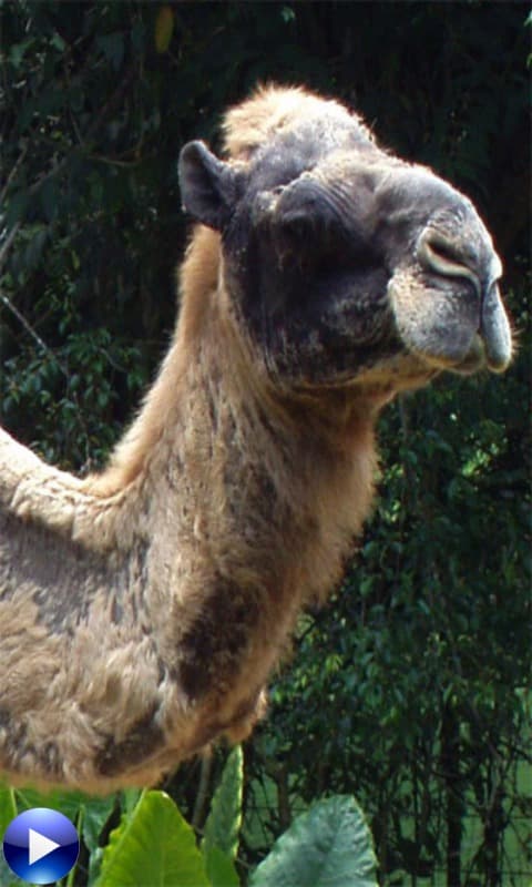 326847_4.jpg