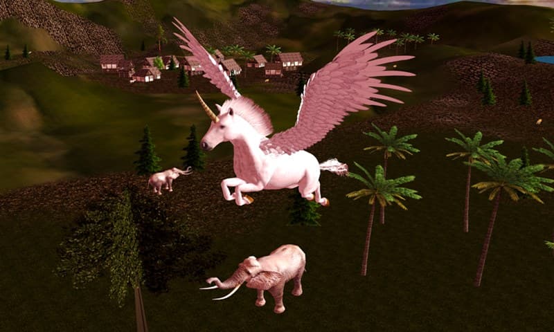 898426_2.jpg