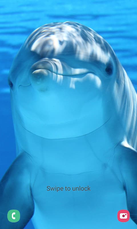 994357_2.jpg