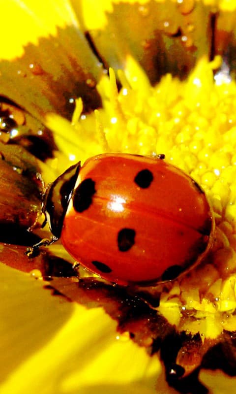 856649_3.jpg