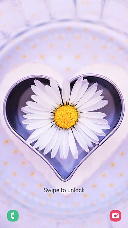 994148_6.jpg