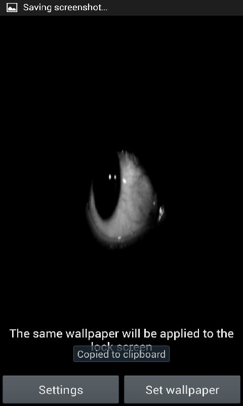 804432_2.jpg