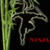 Run Ninja Jumping