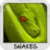 Snakes Wallpapers by Nisavac Wallpapers