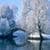 Lovely Winter Live Wallpaper