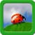 Ladybug Live Wallpapers Top