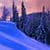 Winter Christmas Live Wallpaper